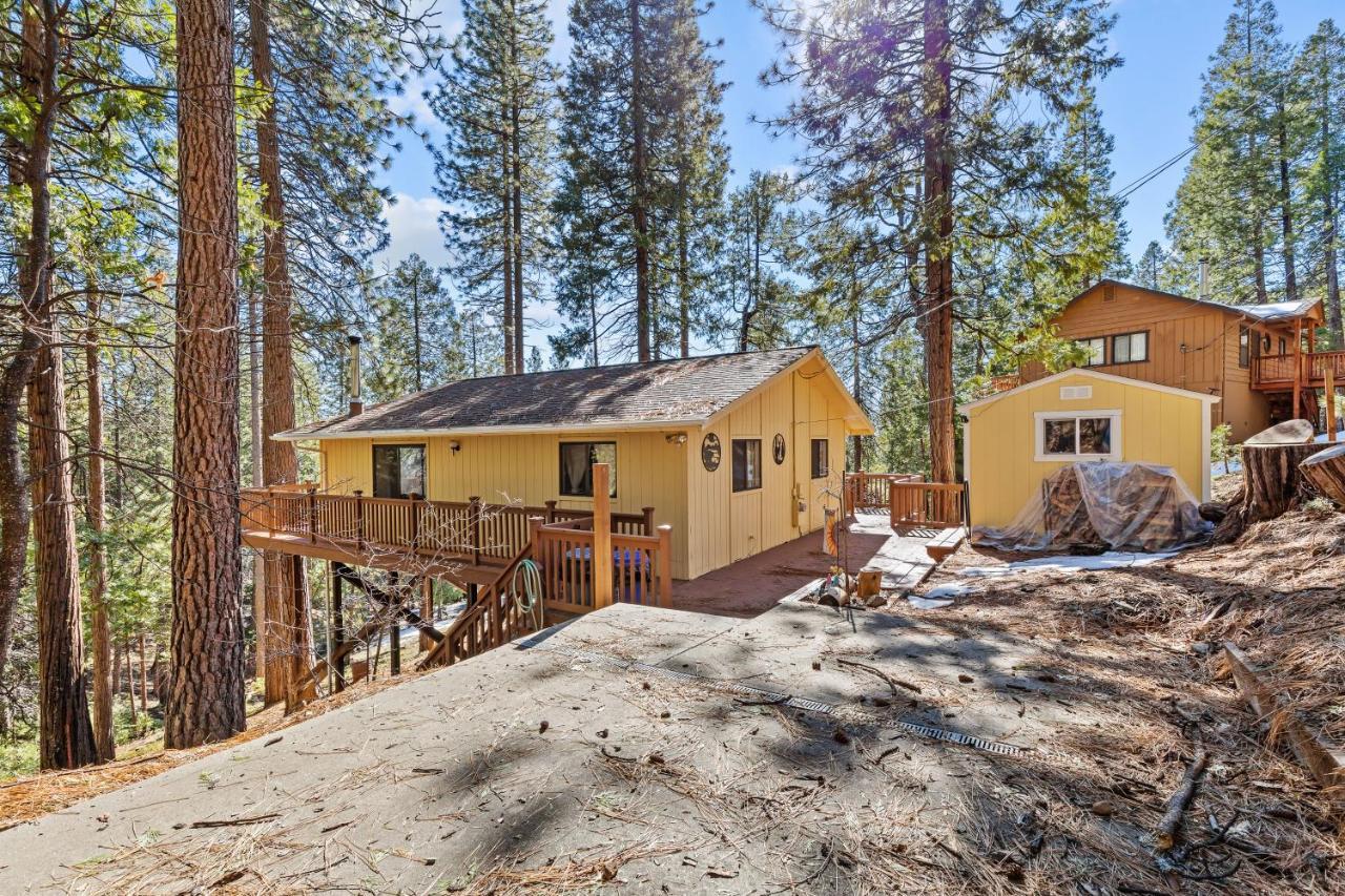 Big Trees, Little Cabin Арнольд Екстер'єр фото